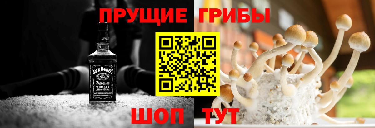 Усть-Лабинск  Псилоцибиновые грибы ЛСД  Галлюциногенные грибы Psilocybe  цены наркотик  Вход с VPN 